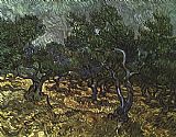 Vincent van Gogh The Olive Grove painting